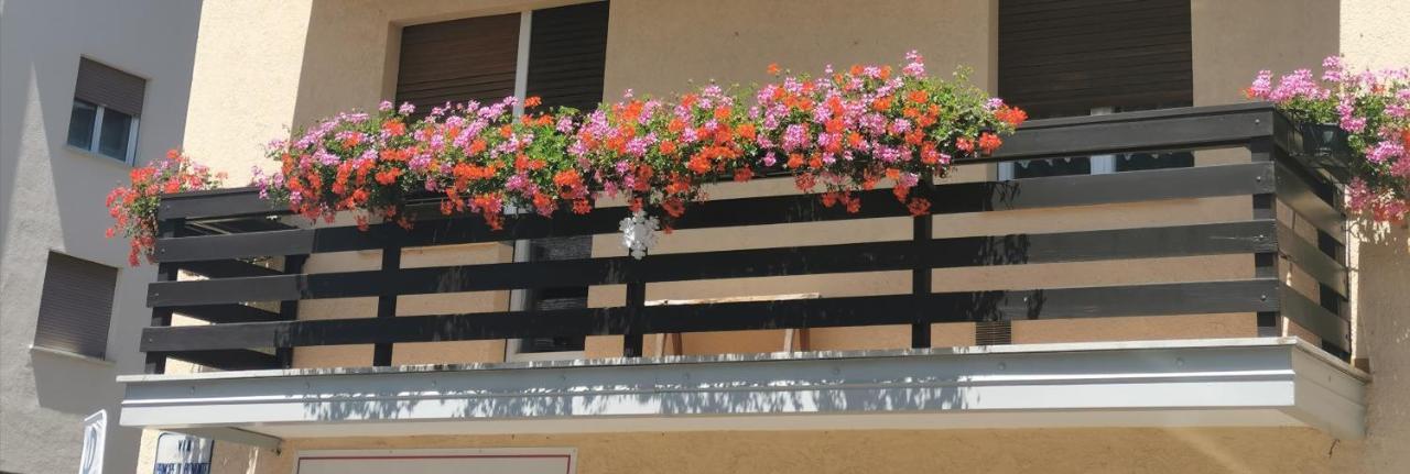 Fiocco Di Neve Guest house *